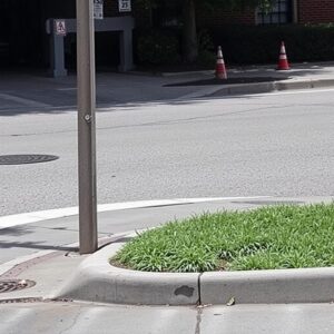 Бордюры: полное руководство